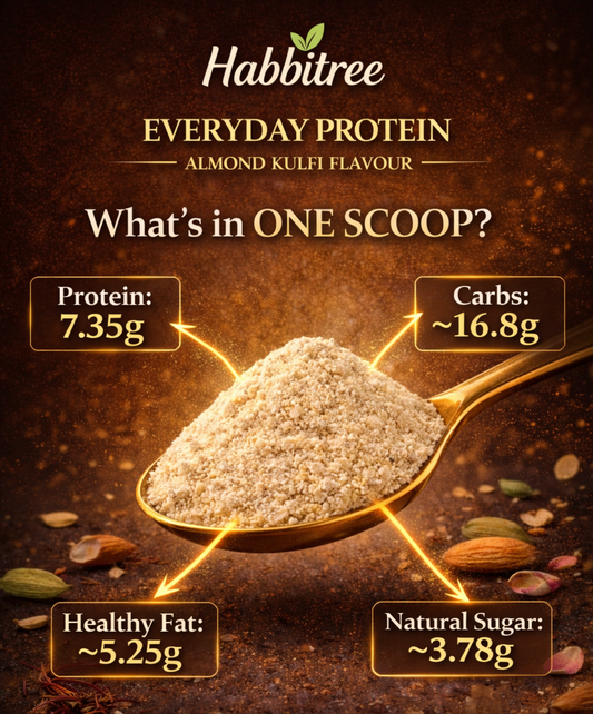 Habbitree Everyday Protein powder with spoonful on a dark background