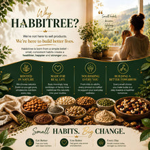 Why Habbitree brand story